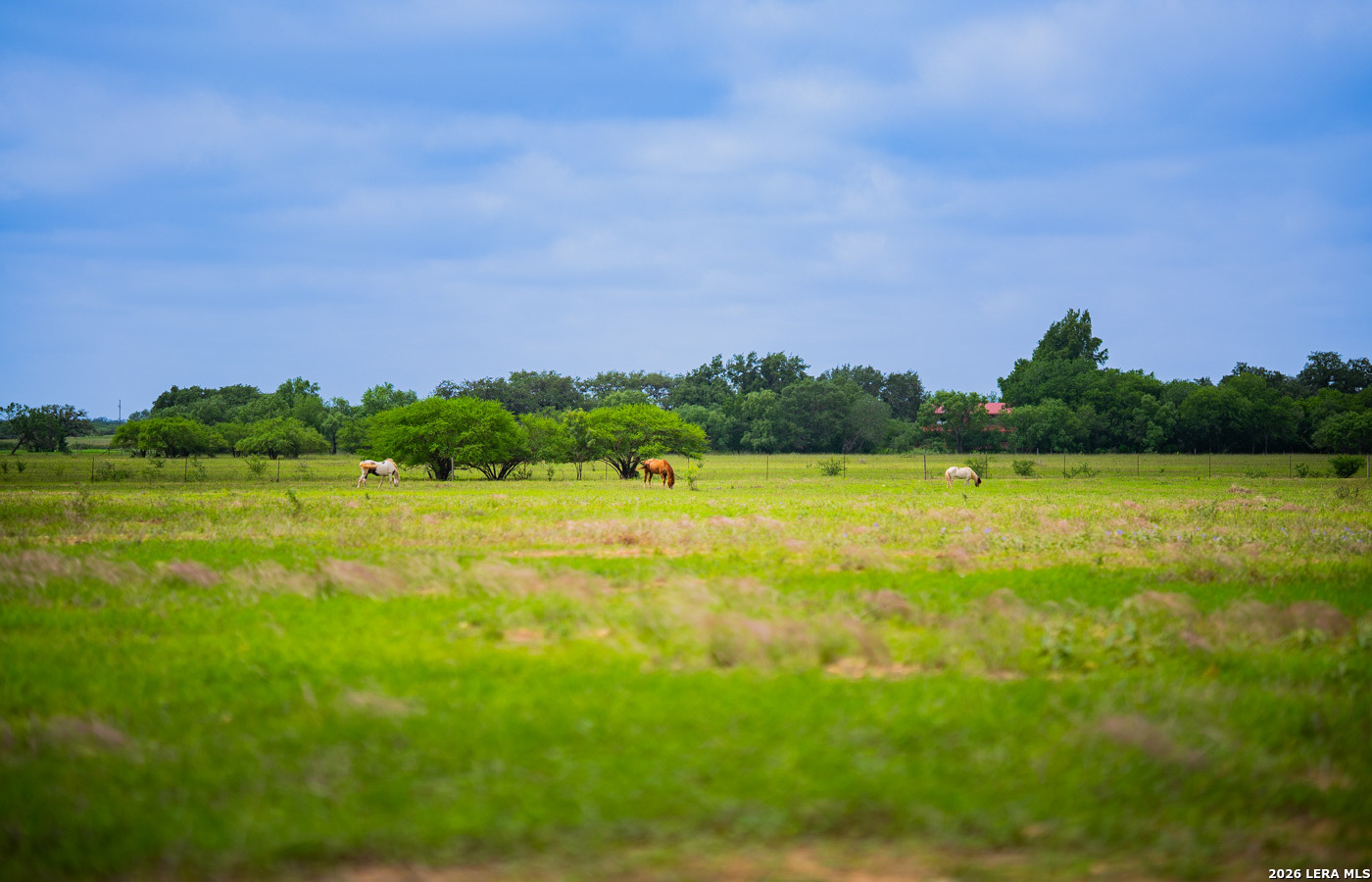 366 County Road 2543 Moore TX 78057