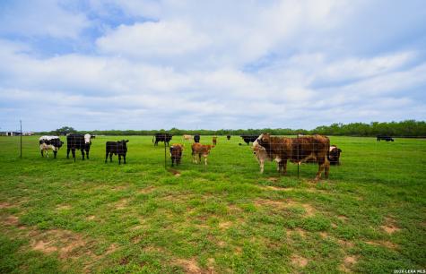 366 County Road 2543 Moore TX 78057