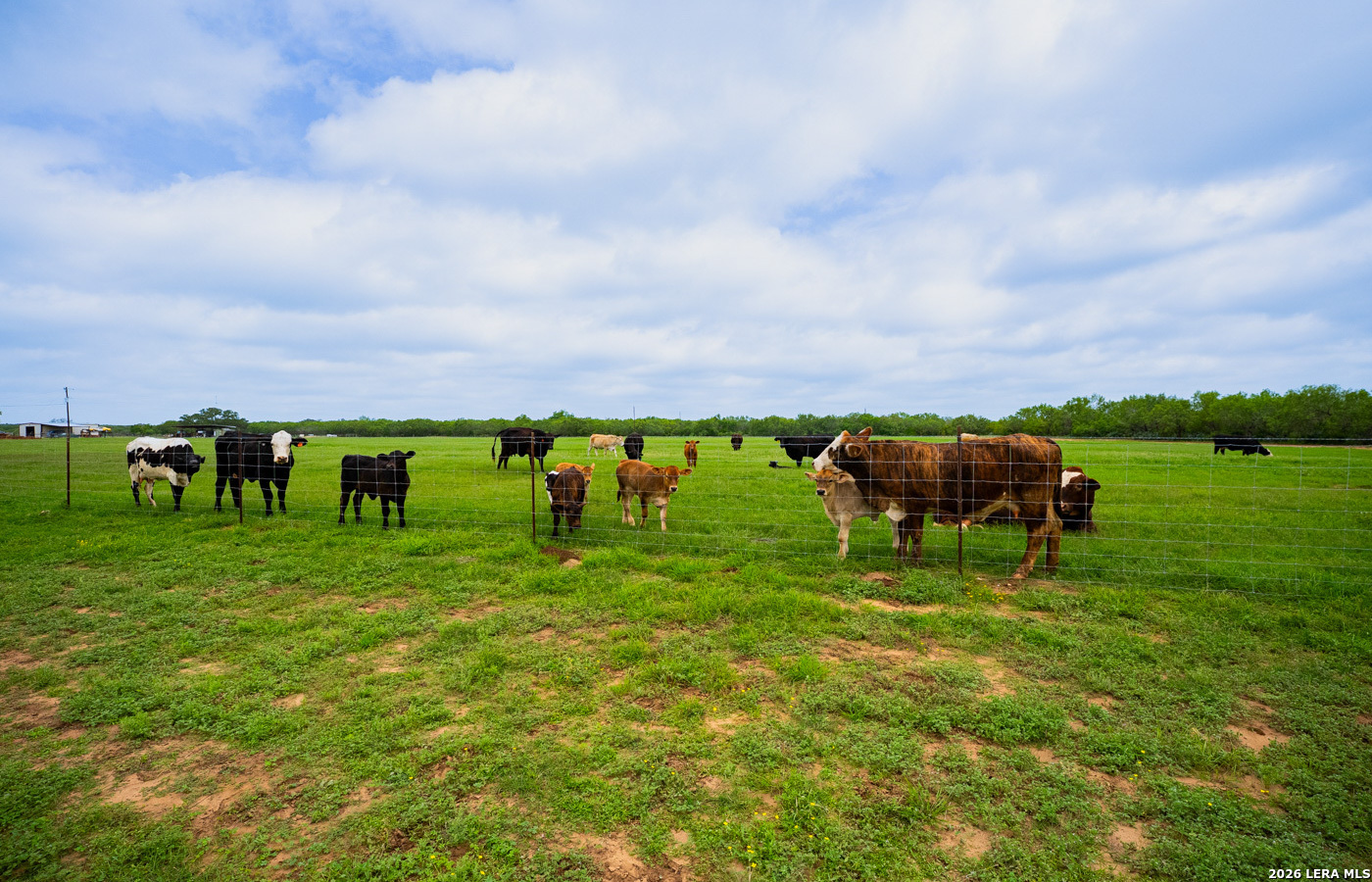 366 County Road 2543 Moore TX 78057