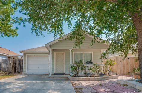 246 Bushtail Drive New Braunfels TX 78130
