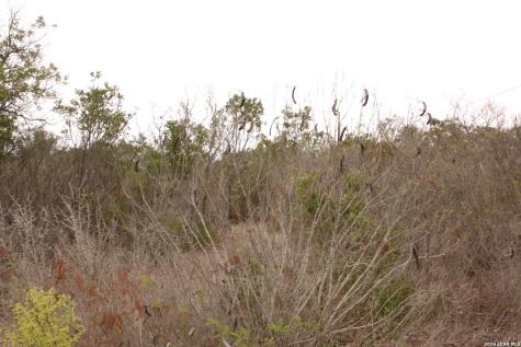 Tbd County Road 573 Castroville TX 78009