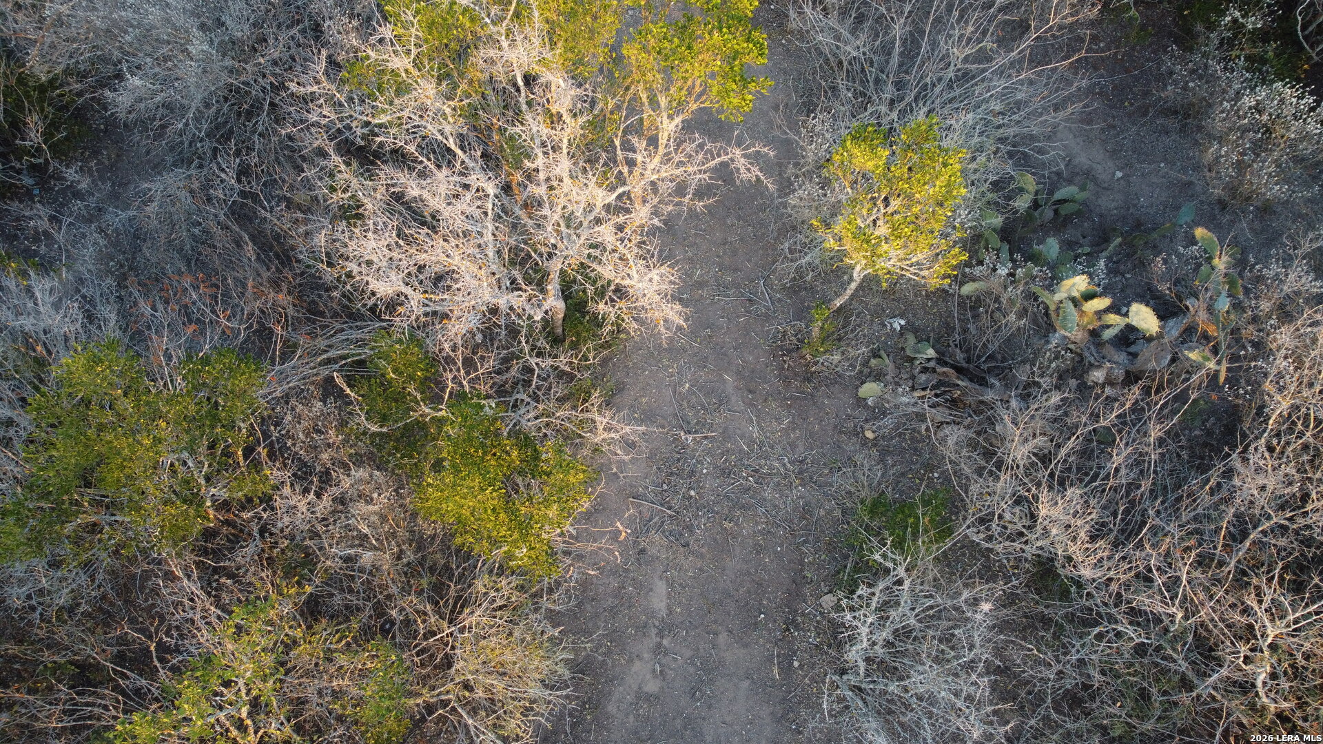 Tbd County Road 573 Castroville TX 78009