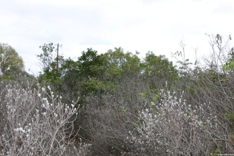 Tbd County Road 573 Castroville TX 78009