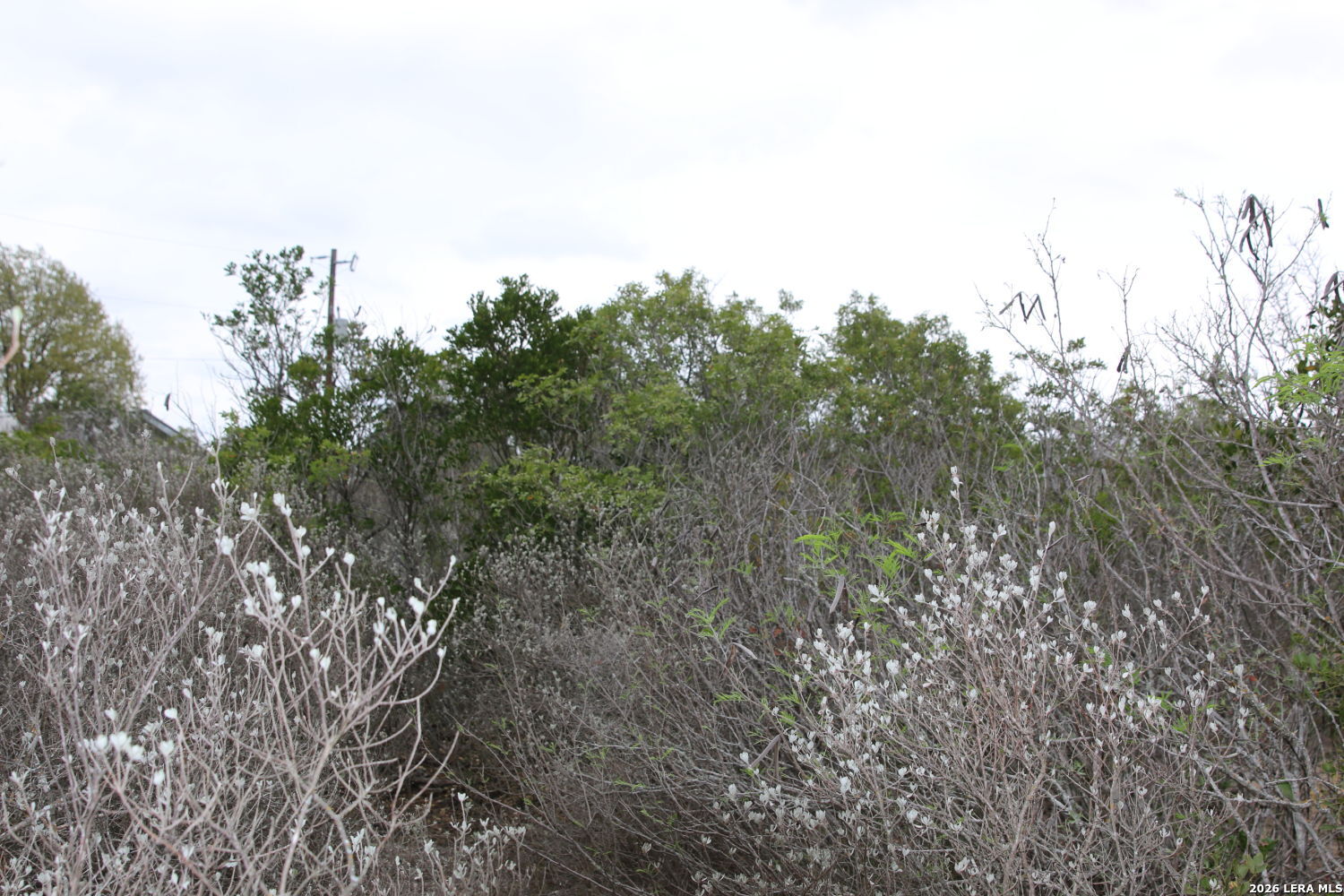 Tbd County Road 573 Castroville TX 78009