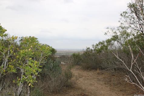 Tbd County Road 573 Castroville TX 78009