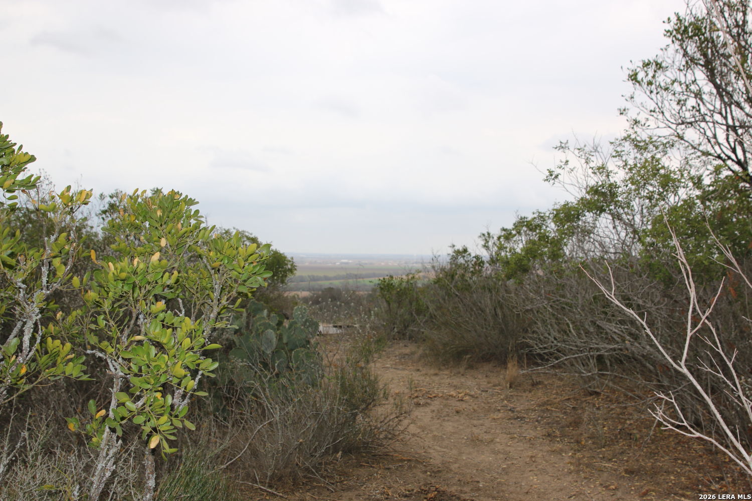 Tbd County Road 573 Castroville TX 78009