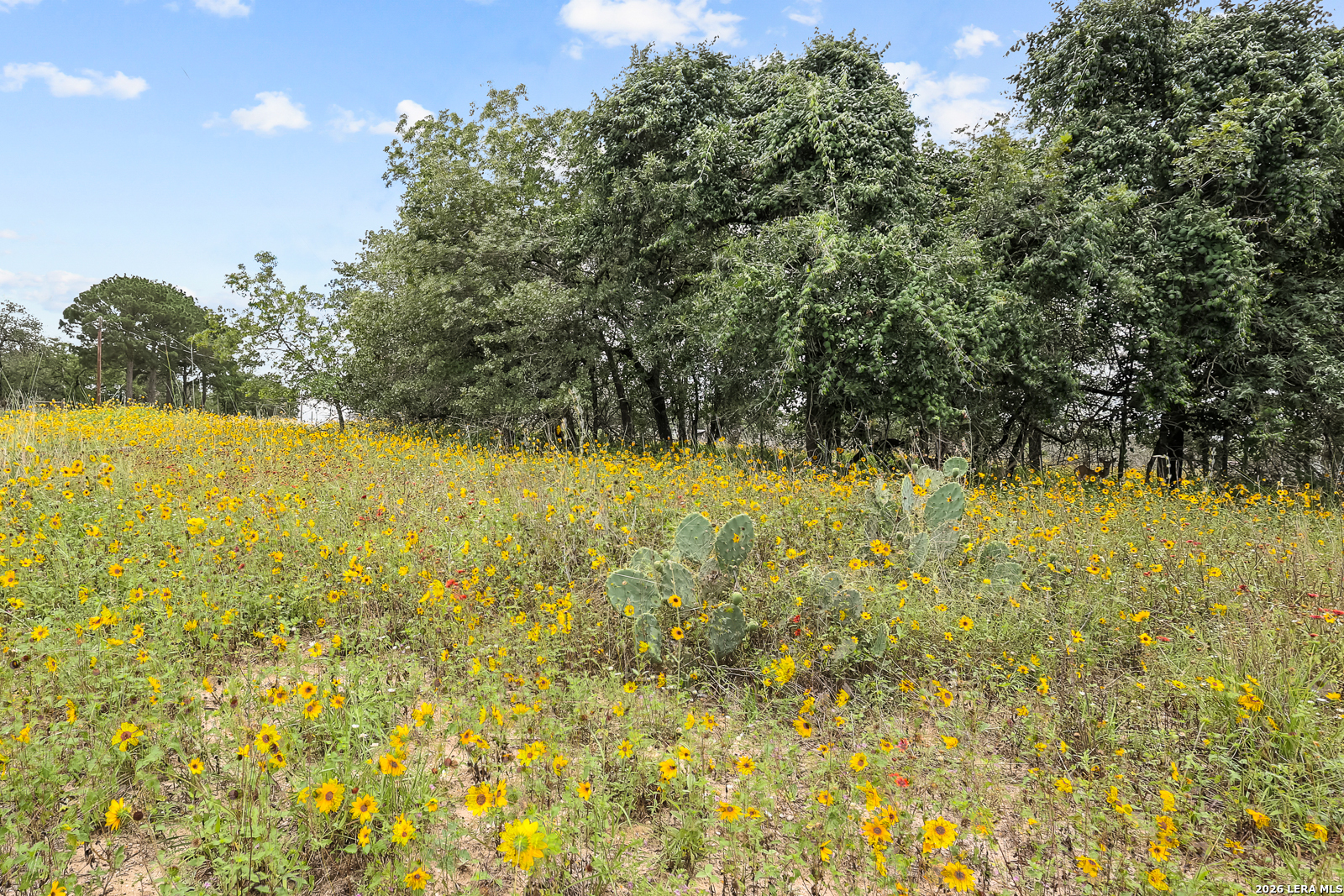 336 Lost Trail La Vernia TX 78121