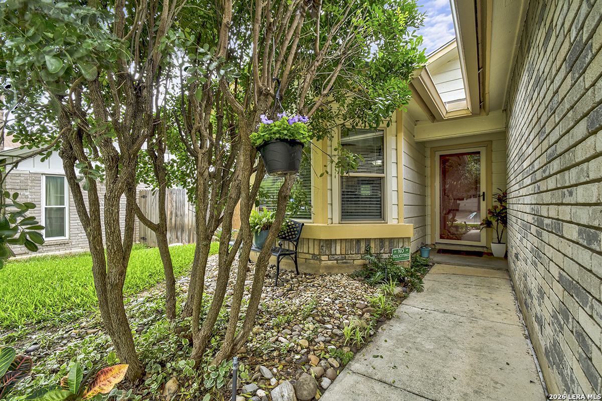13914 Laurel Hollow Drive San Antonio TX 78232