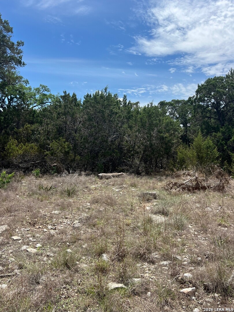 12 Ledgestone Place Boerne TX 78006