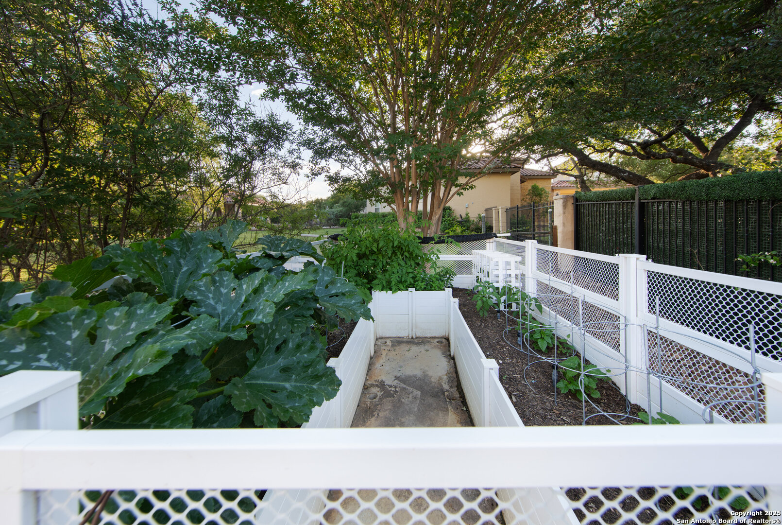 11118 Anaqua Springs Boerne TX 78006