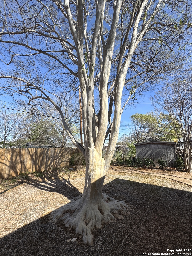 423 Timberlane San Antonio TX 78218