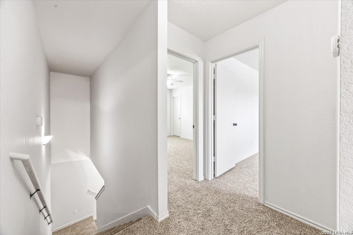7927 Horse Hollow San Antonio TX 78244