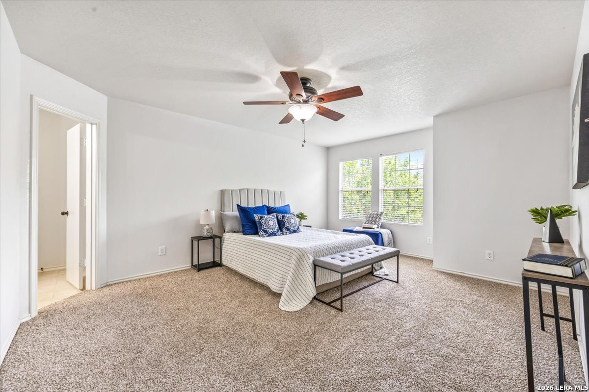 7927 Horse Hollow San Antonio TX 78244