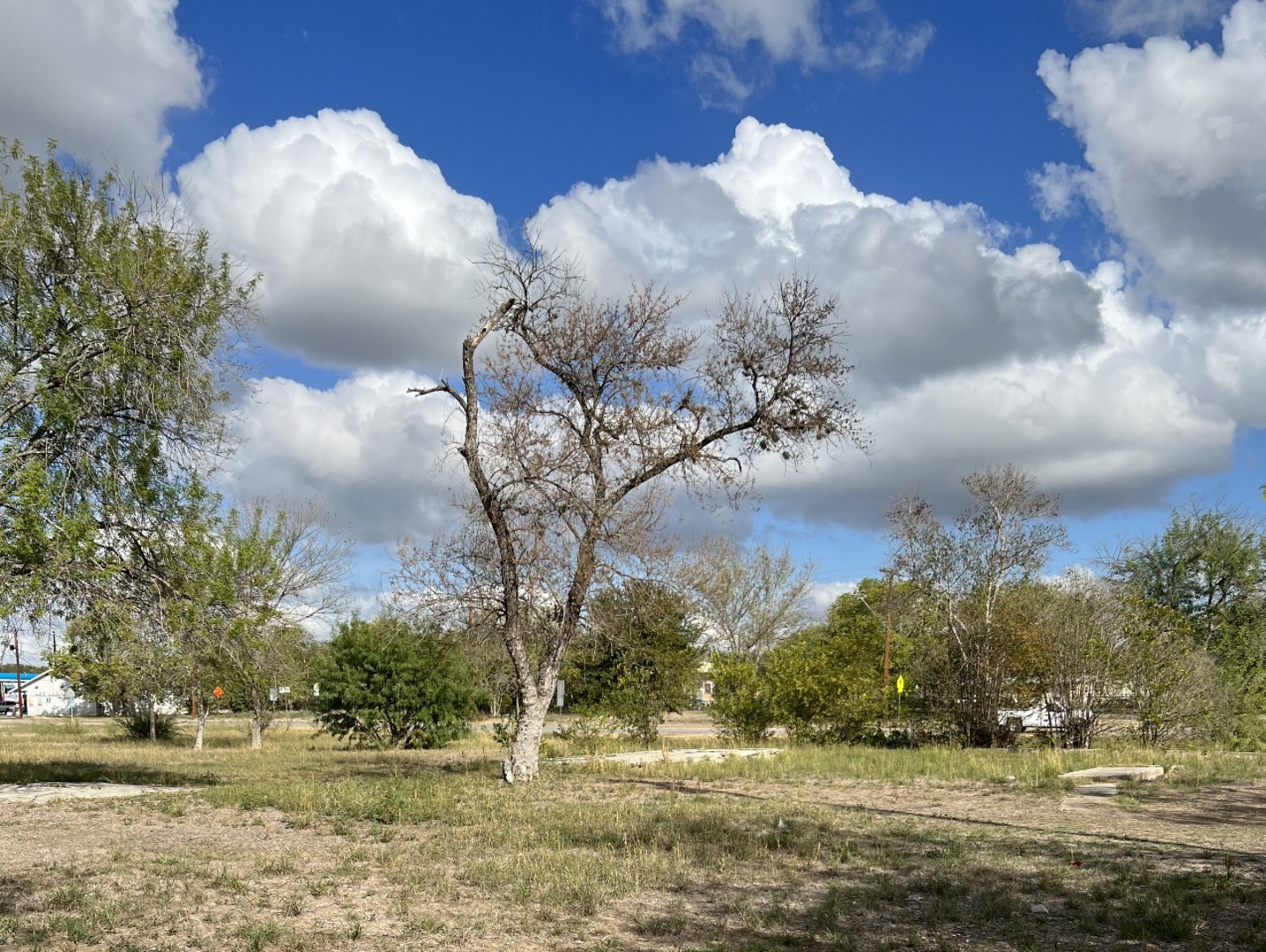 3367 Roland Road San Antonio TX 78210