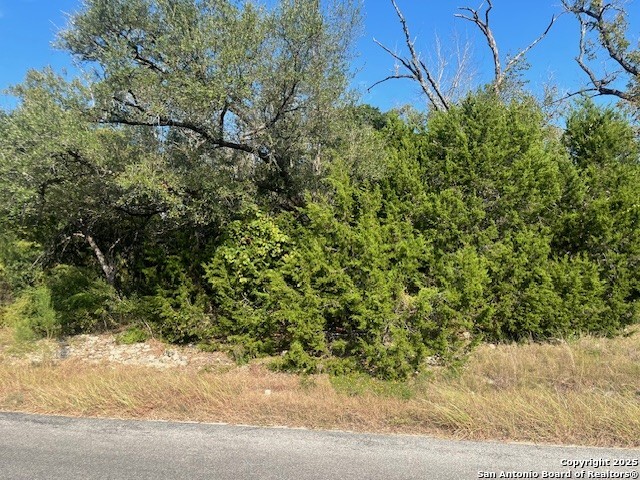 19623 Terra Mont San Antonio TX 78255