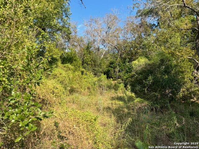 19623 Terra Mont San Antonio TX 78255