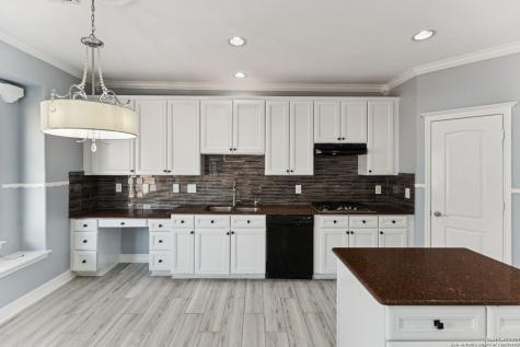 21419 La Pena San Antonio TX 78258