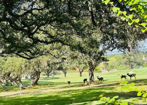 29342 Ridgeview Boerne TX 78015