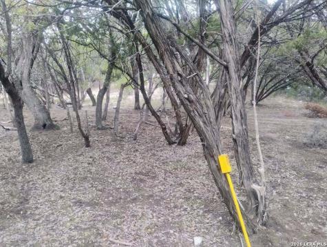 0 Frio Bandera TX 78003