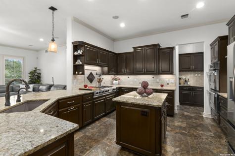921 Great Tree Drive San Antonio TX 78260
