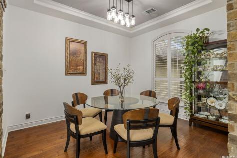 921 Great Tree Drive San Antonio TX 78260