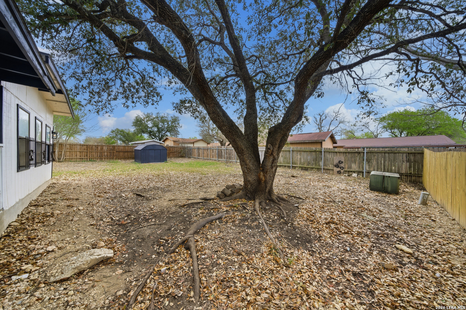 1042 Lemon Tree San Antonio TX 78245