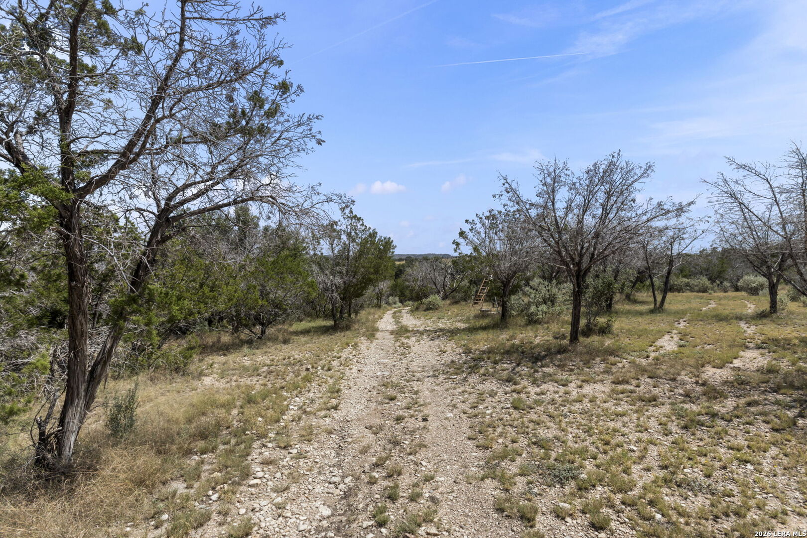 1919 Kc 3151 Junction TX 76849