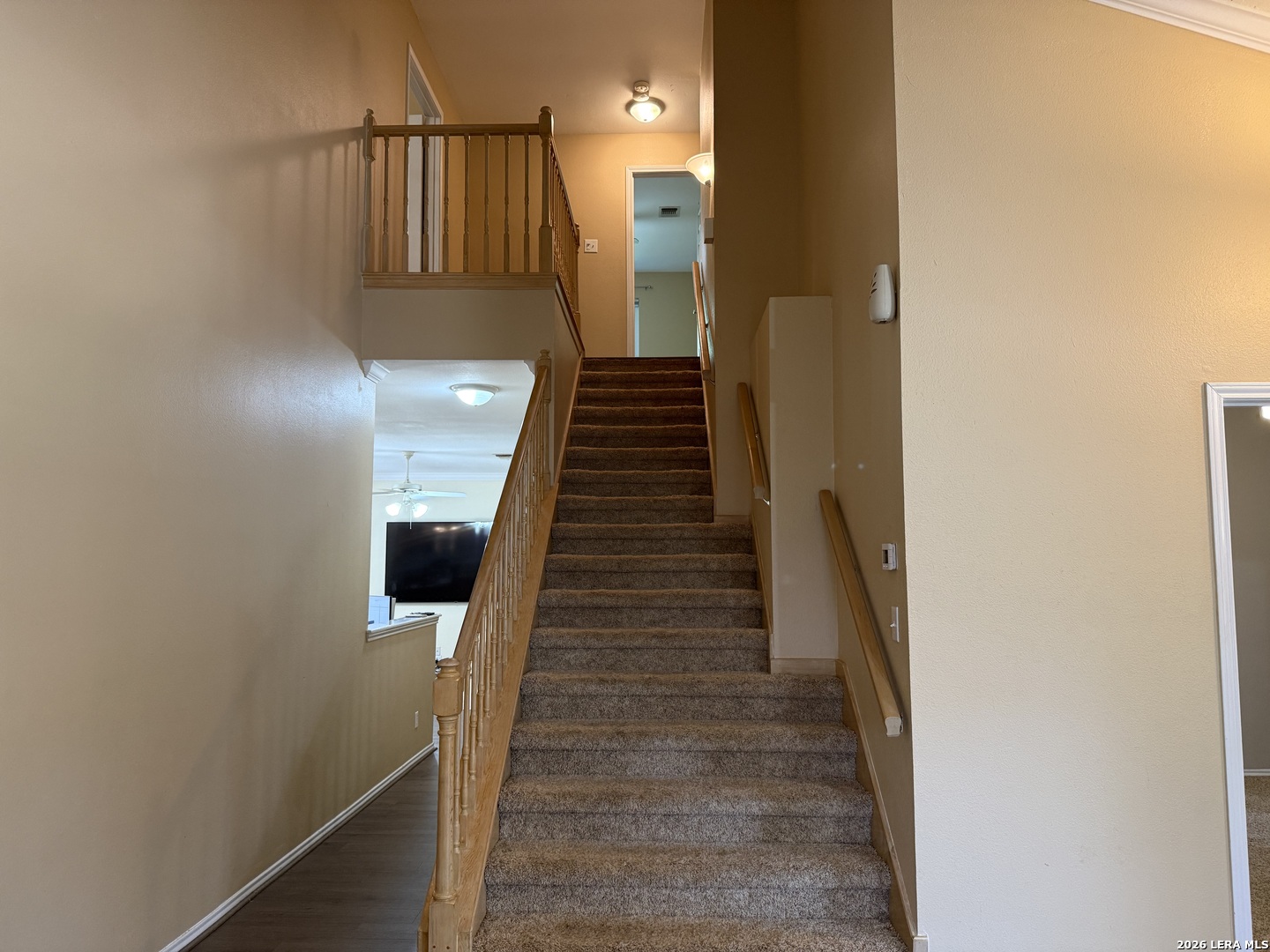 5903 Cedar Path San Antonio TX 78249