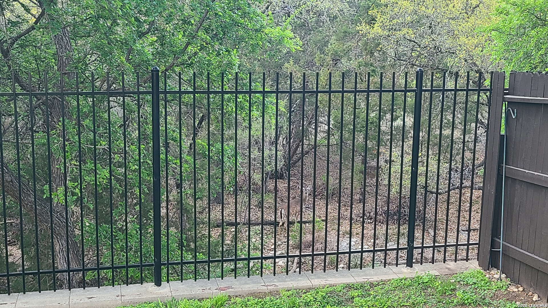 12727 Gruene Pass San Antonio TX 78253