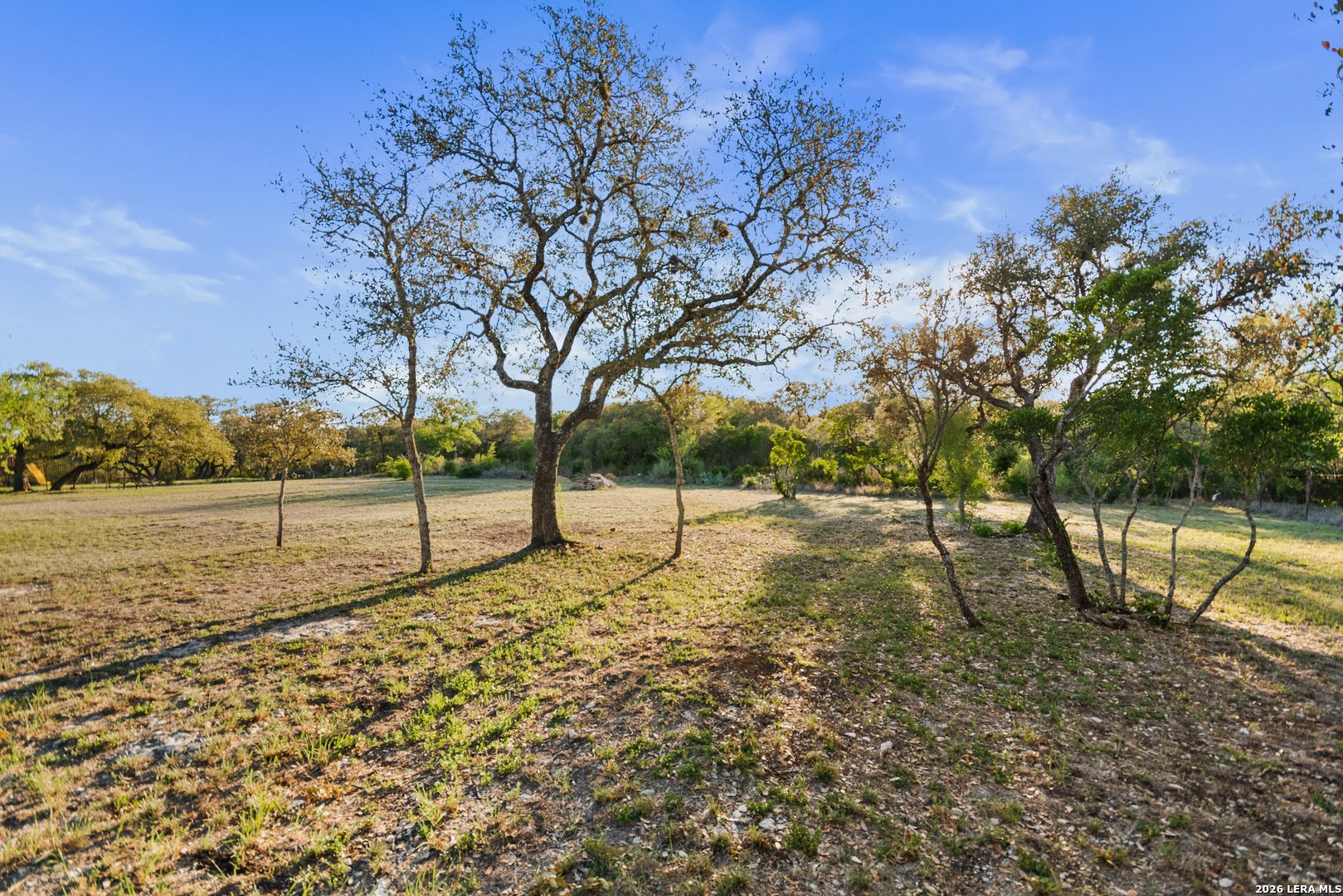 205 Rolling Oaks San Antonio TX 78253