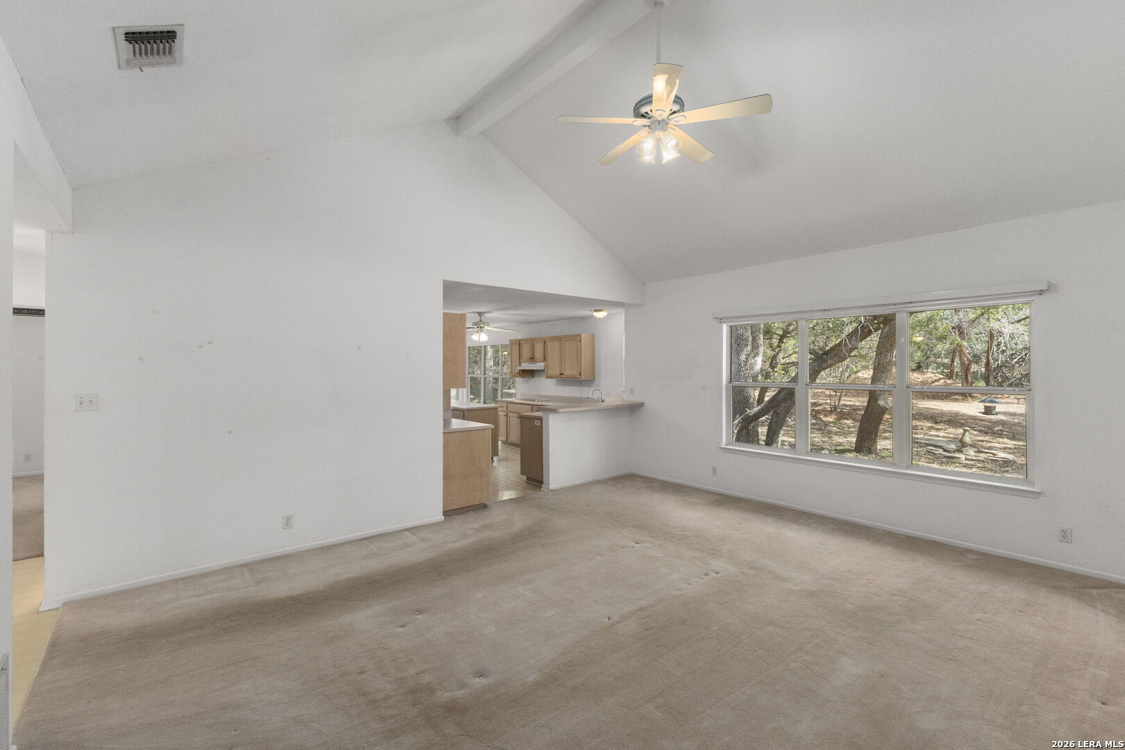 139 Sycamore Helotes TX 78023