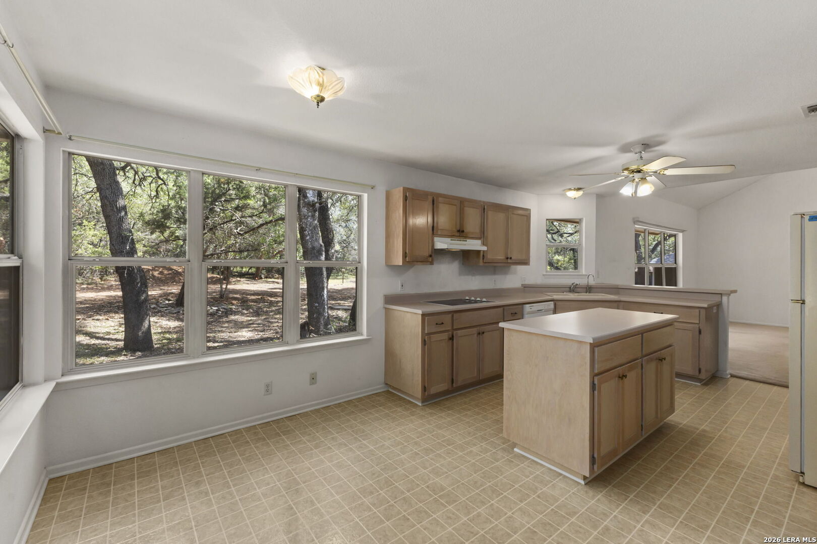 139 Sycamore Helotes TX 78023