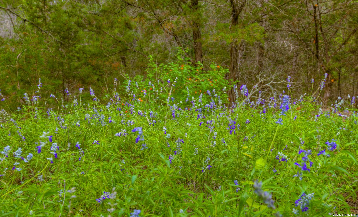 105 Walnut Grove Road Boerne TX 78006