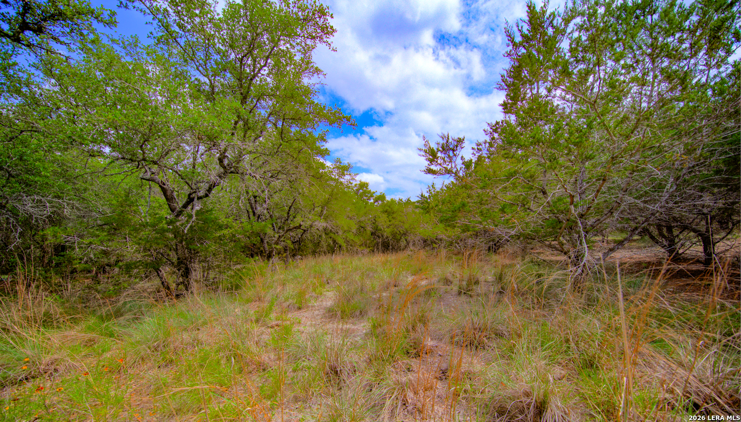 105 Walnut Grove Road Boerne TX 78006