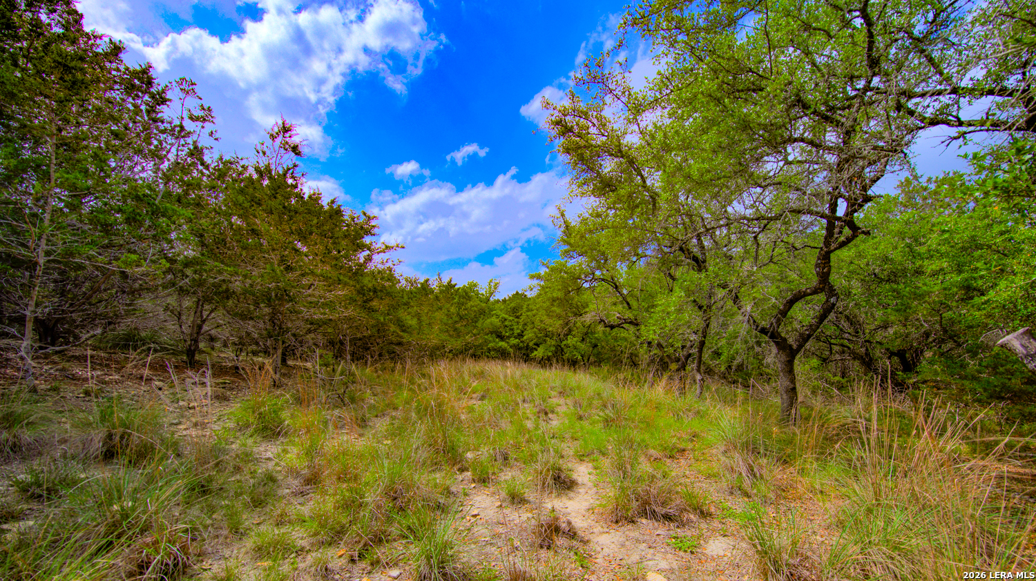 105 Walnut Grove Road Boerne TX 78006