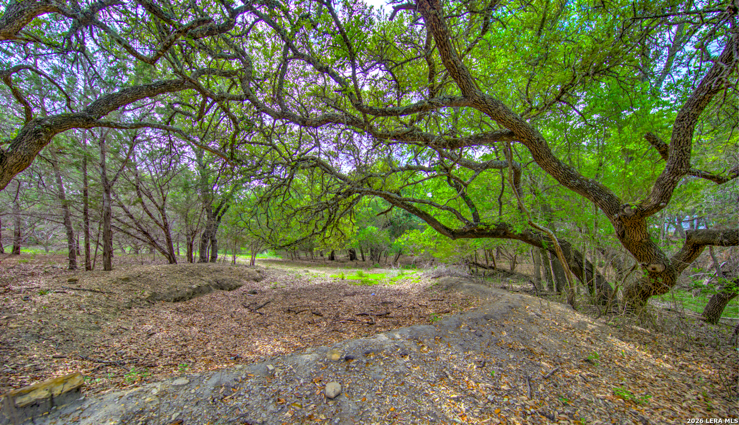 105 Walnut Grove Road Boerne TX 78006