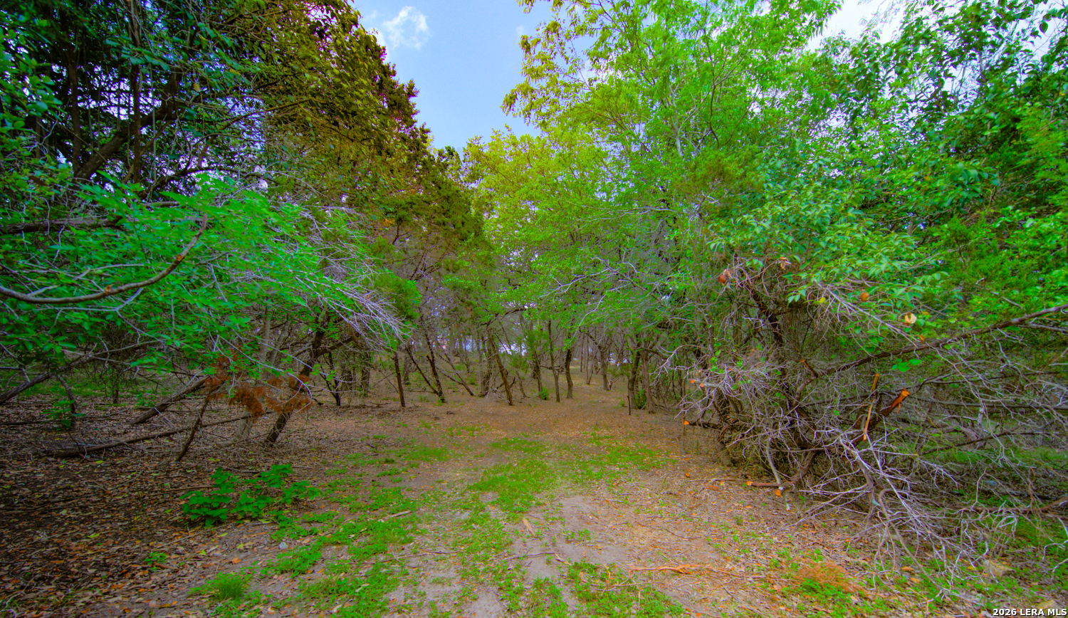 105 Walnut Grove Road Boerne TX 78006