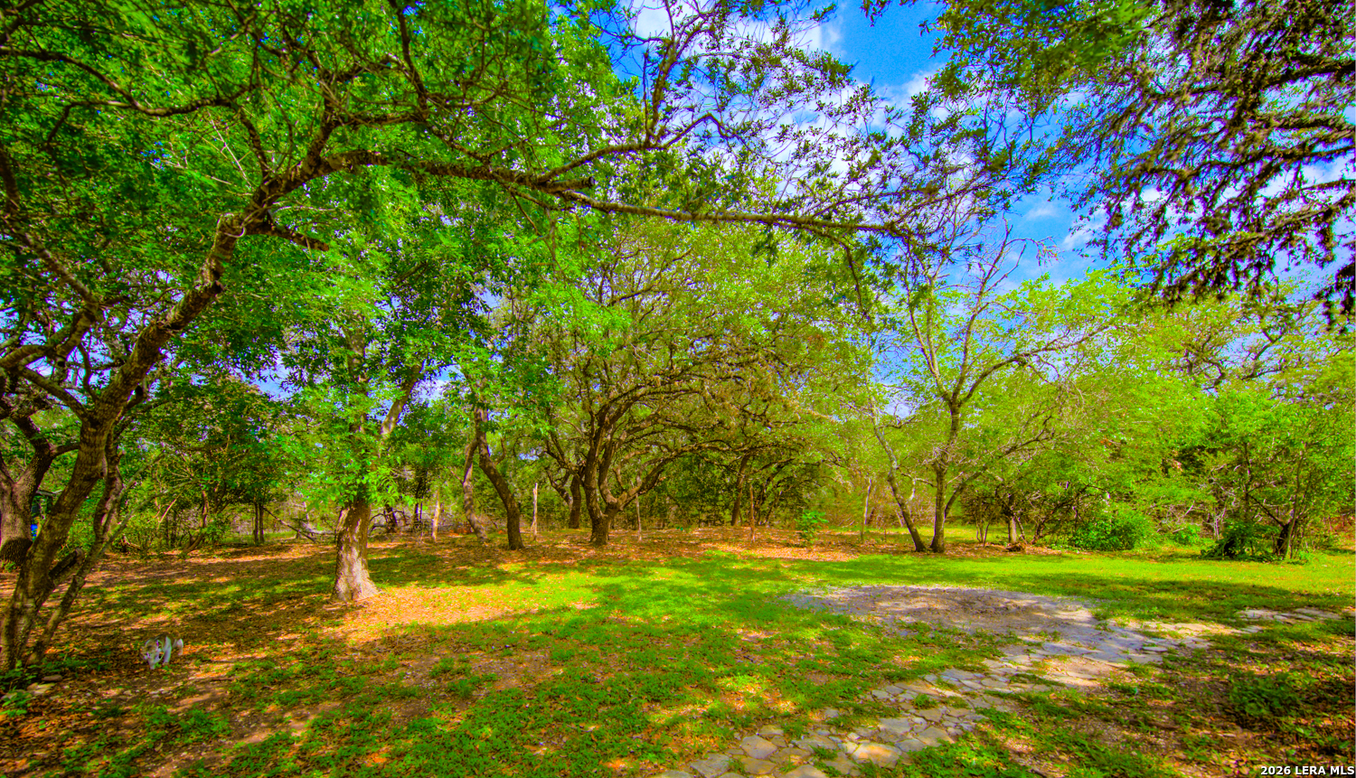 105 Walnut Grove Road Boerne TX 78006