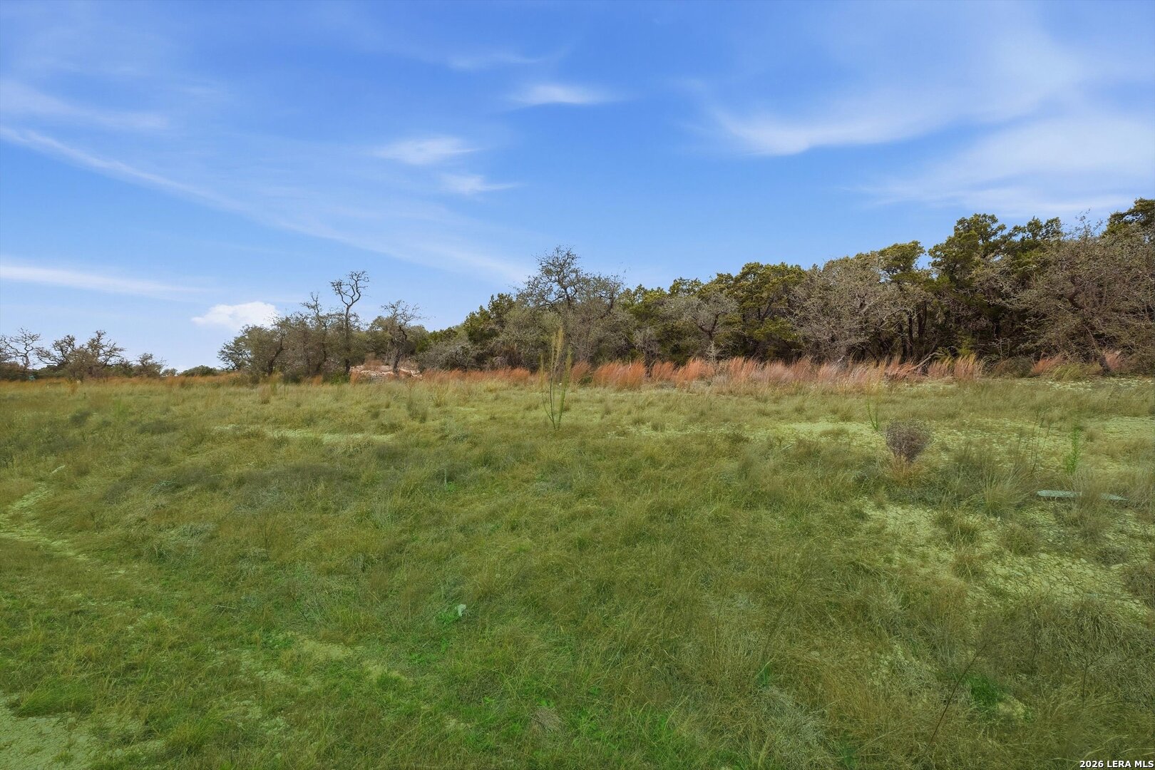 1000 Earle Oak Bulverde TX 78163