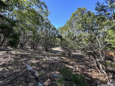 1040 Pinon Fischer TX 78623