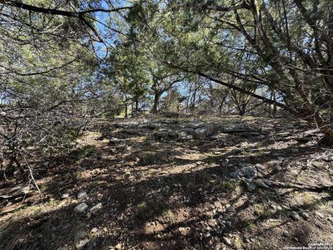 1040 Pinon Fischer TX 78623