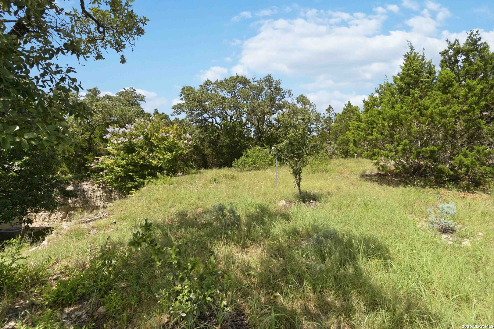 9802 Autumn Canyon San Antonio TX 78255