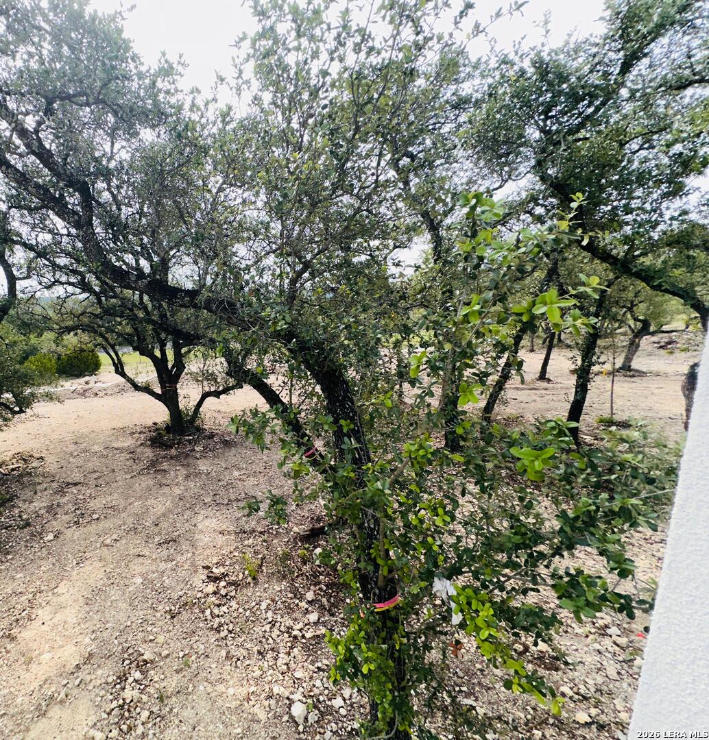 23034 Crafty Ridge San Antonio TX 78255