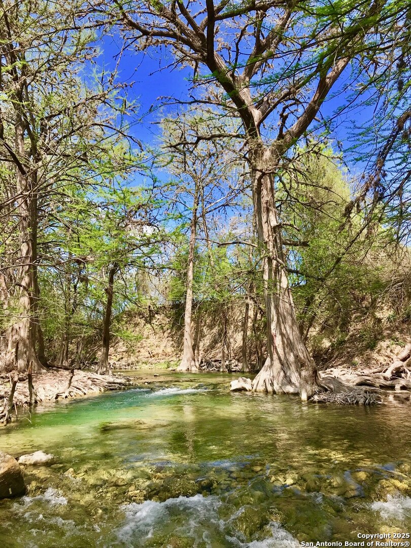 173 Pvt Road 3820 Utopia TX 78884