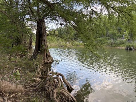 172 Bluff Trail Dripping Springs TX 78620