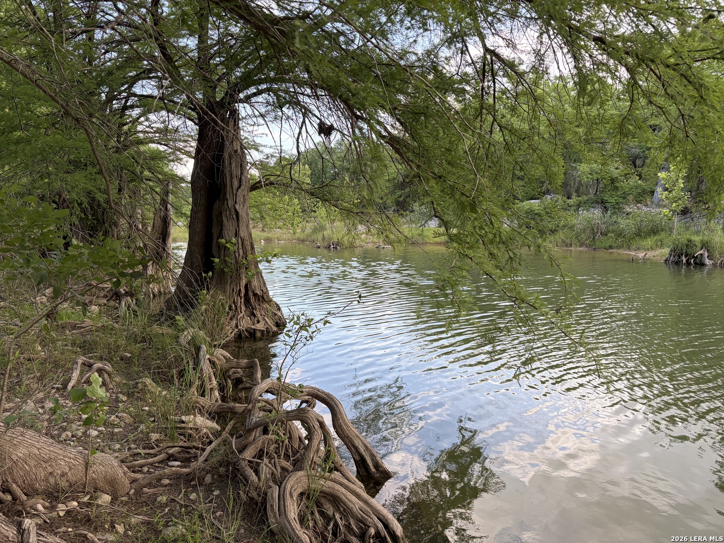 172 Bluff Trail Dripping Springs TX 78620