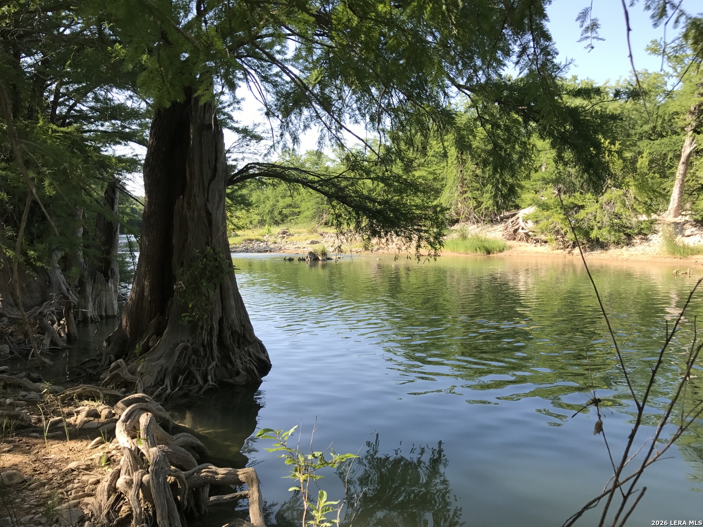 172 Bluff Trail Dripping Springs TX 78620