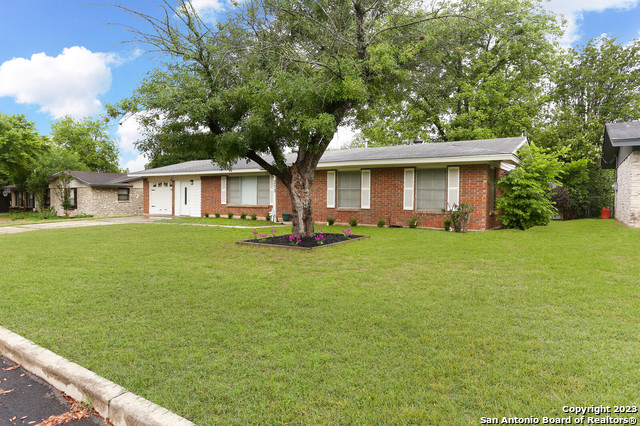 213 Pecan Drive Schertz TX 78154
