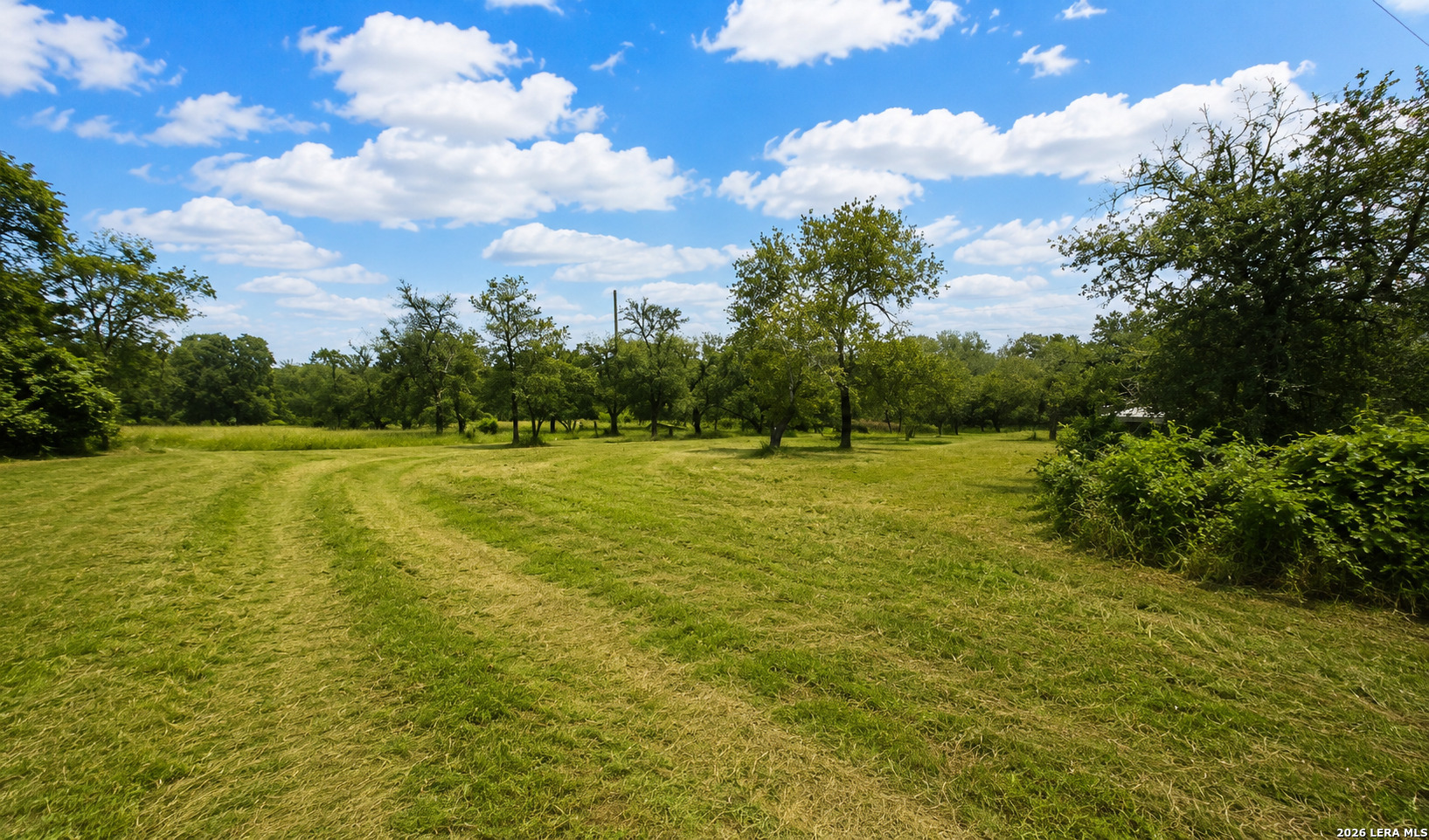 411 Peaceful Lane San Antonio TX 78264