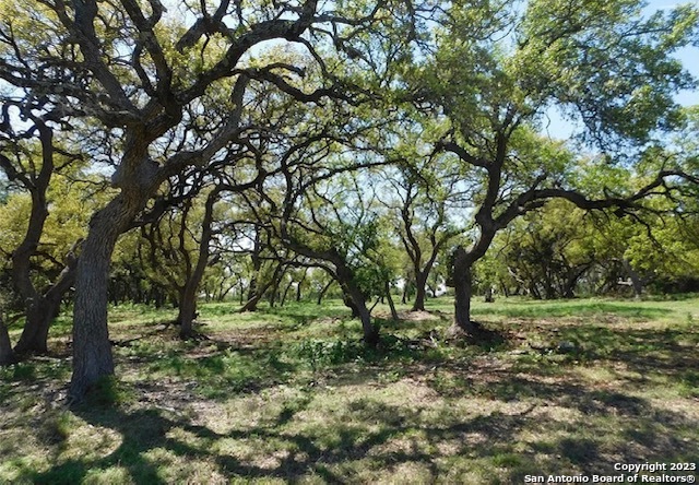 1625 Vintage Way New Braunfels TX 78132